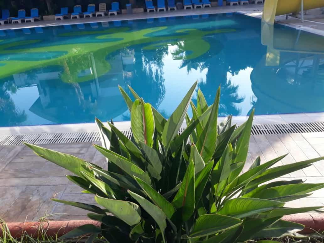 Hotel Club Jovia Kemer à Antalya Extérieur photo