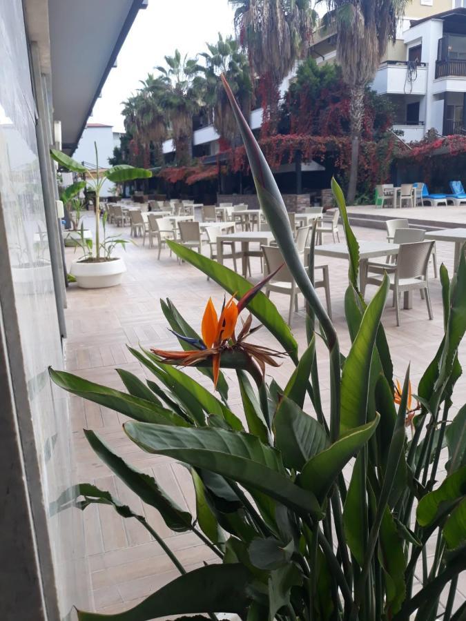 Hotel Club Jovia Kemer à Antalya Extérieur photo