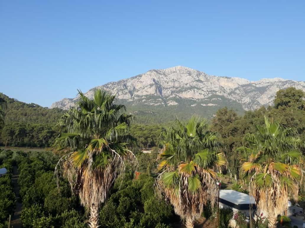 Hotel Club Jovia Kemer à Antalya Extérieur photo